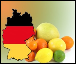 7 savaiciu vokiska dieta